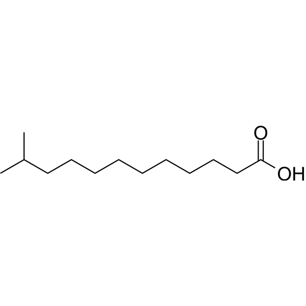 11-Methyllauric acid 5681-98-1